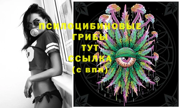 мескалин Инта