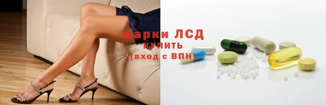 герыч Иннополис
