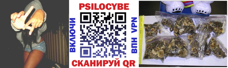 Купить где  Вязьма  Галлюциногенные грибы Magic Shrooms 